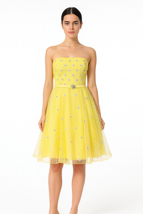 Vestidos Cortos