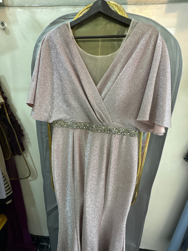 Enchanting Blush: Sparkling Short-Sleeved Dress