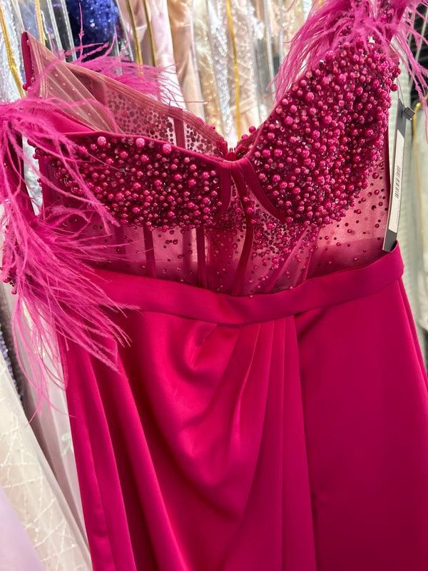 Pink Plume Princess: Fuchsia Satin Corset Dress with Pink Feathers