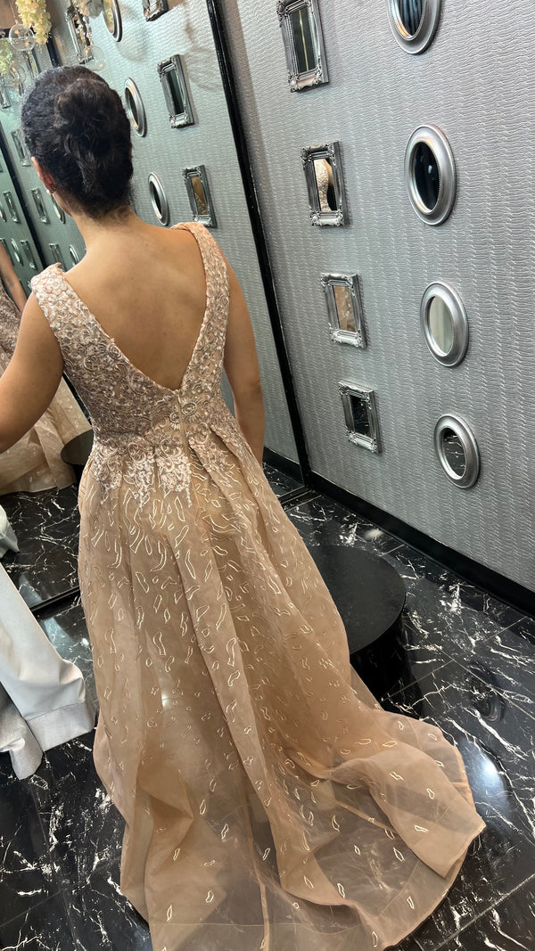 Blushing Brilliance: Beige-Pink Dress with Stunning Silver Embellishments