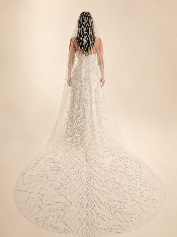 Dawn Veil