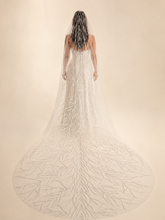 Dawn Veil