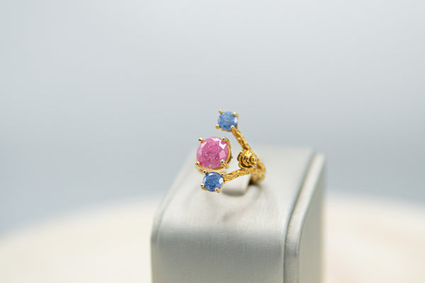 Anillo Rosado y Azul