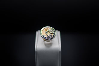 Anillo Redondo
