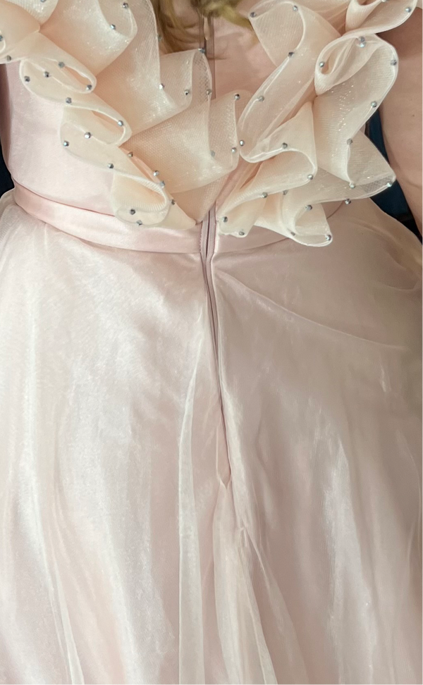 Whimsical Pink Charm: Vintage Rose Dress with Sparkling Ruffled Sleeves and Chiffon Skirt